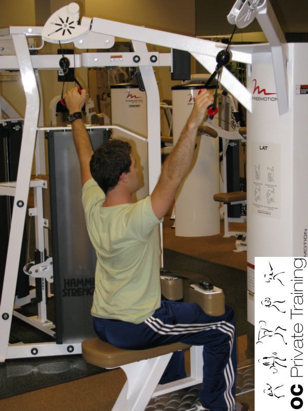 lat side muscle