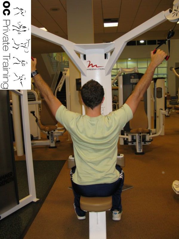 lat side muscle