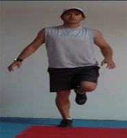 single leg squat